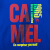 ラクダ(CAMEL)子供服男性用子供服カジュアTシャに手の厚いTシャをセッとしたボブサービス120/60